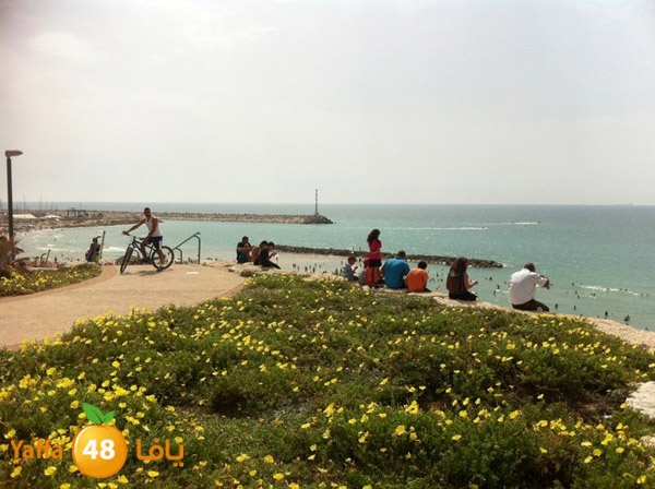 majdal3asqlan519 (21).JPG